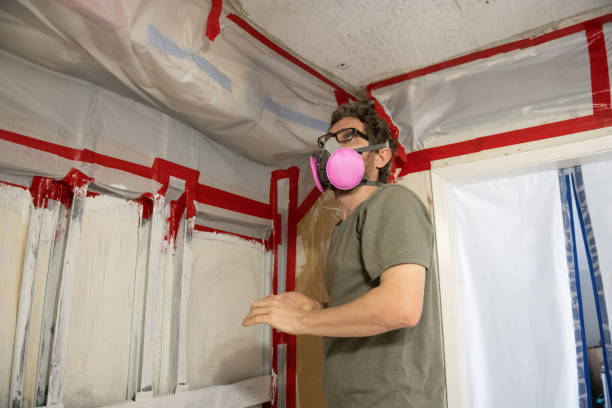 Best Basement Mold Removal  in Duncansville, PA